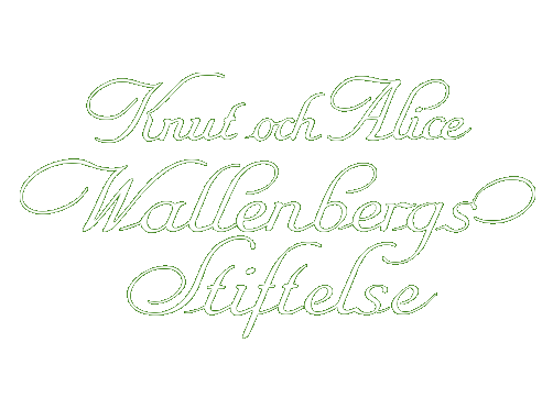Knut och Alice Wallenbergs Stiftelse