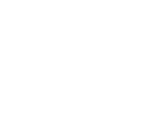 Wallenberg Academy Fellows